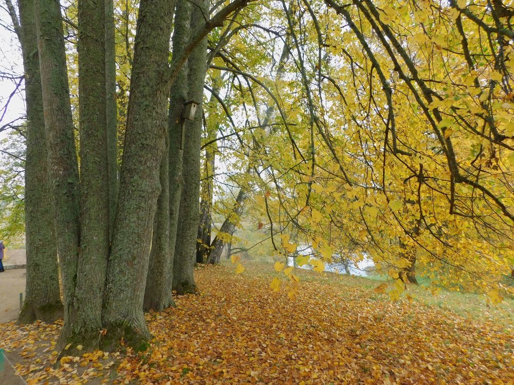 Photograph by Елена Грошева