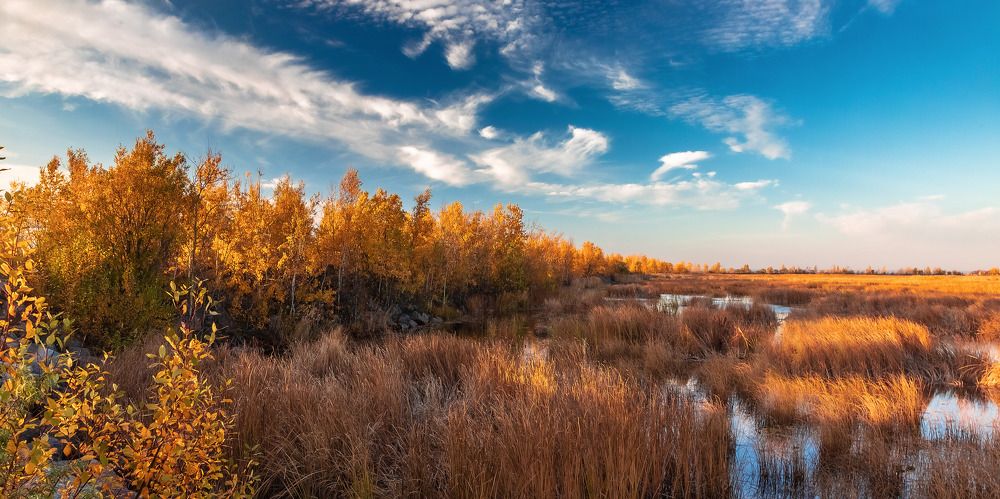 Photograph by Александр Игнатьев