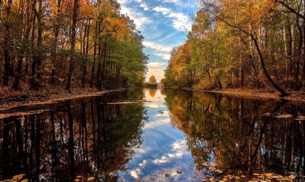 Photograph by Александр Игнатьев