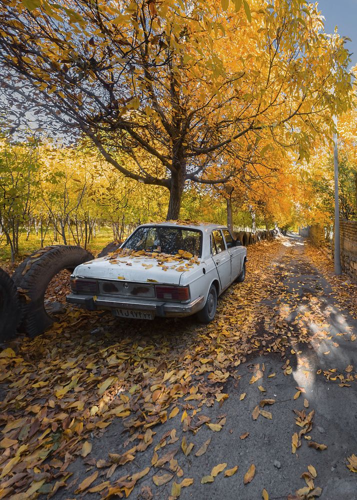 Фотография автора majid arab