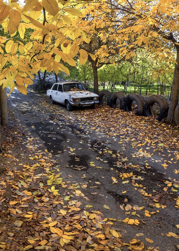 Фотография автора majid arab