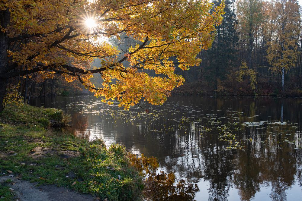 Photograph by Вячеслав Криволуцкий