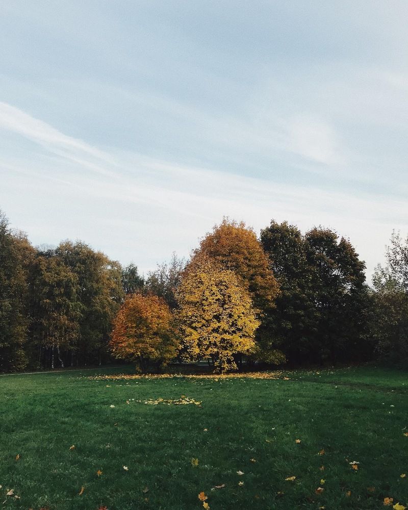 Photograph by Вероника Шварц