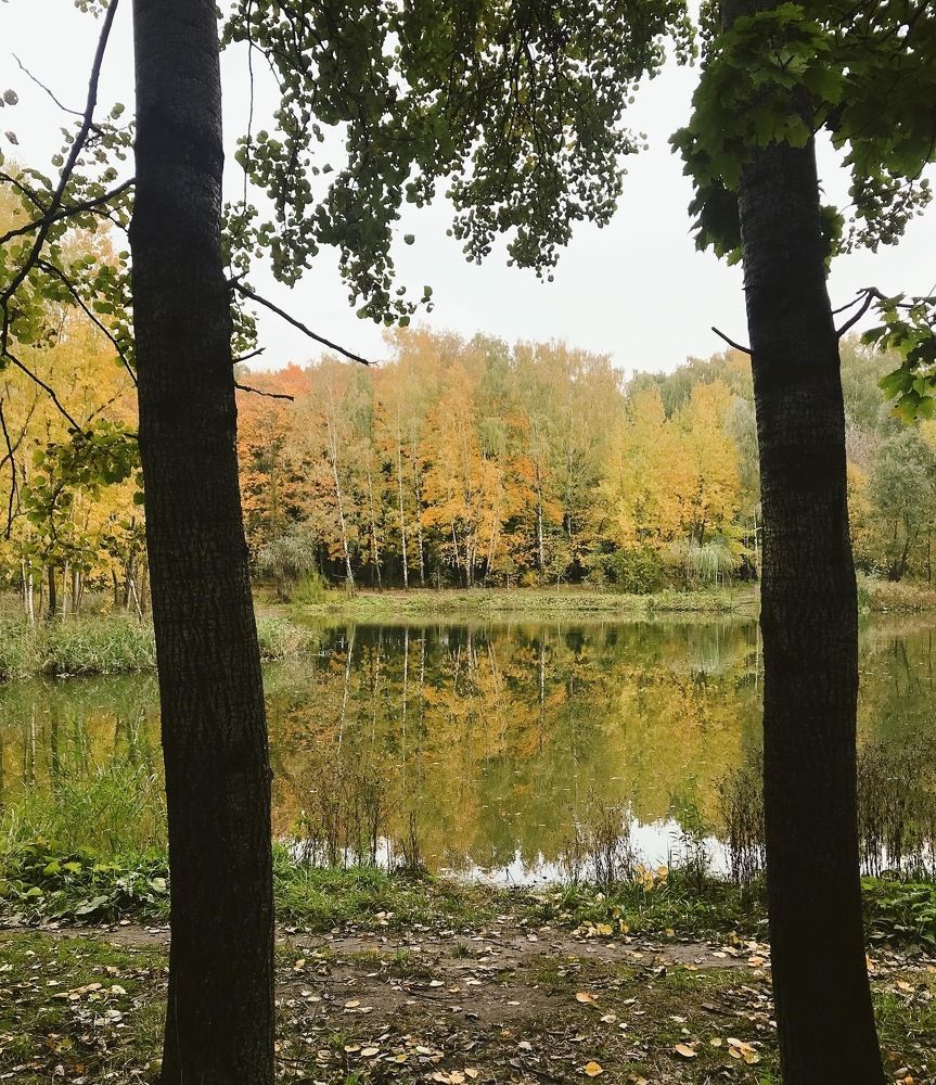 Photograph by Вероника Шварц
