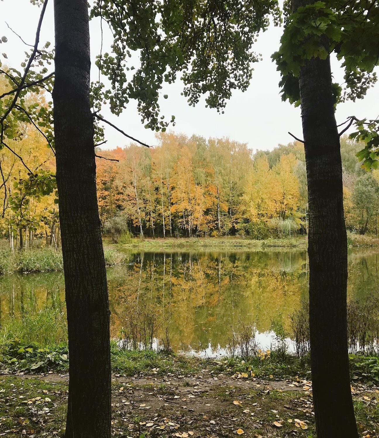 Photo #6561595