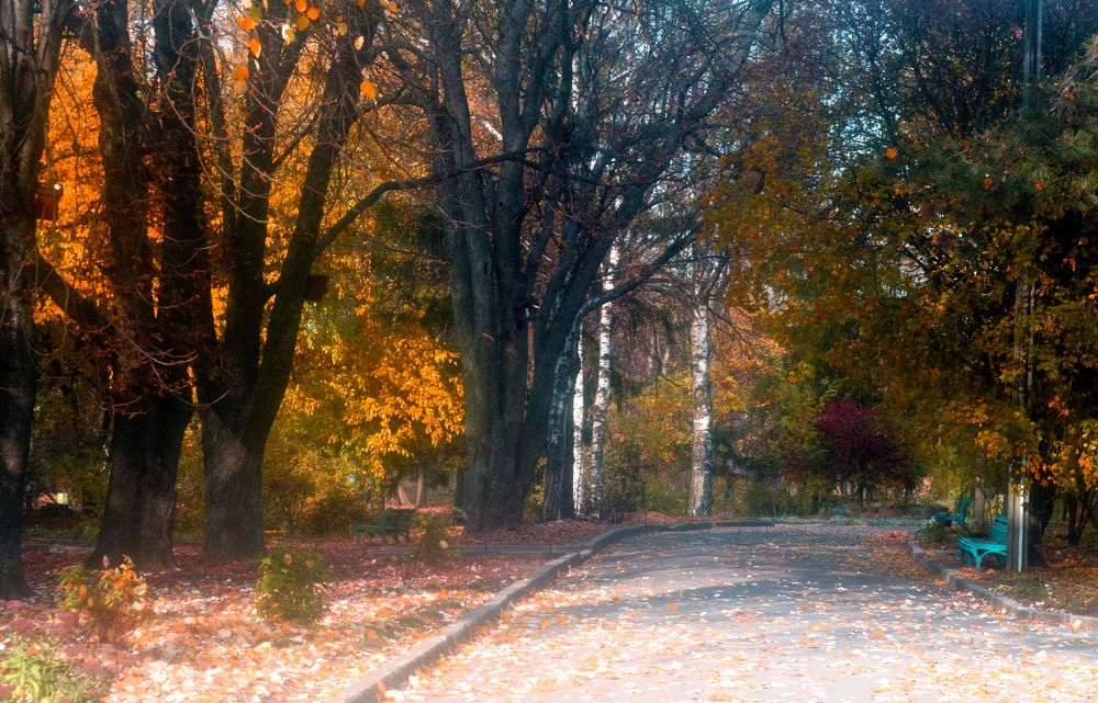 Photograph by Александр Белоус