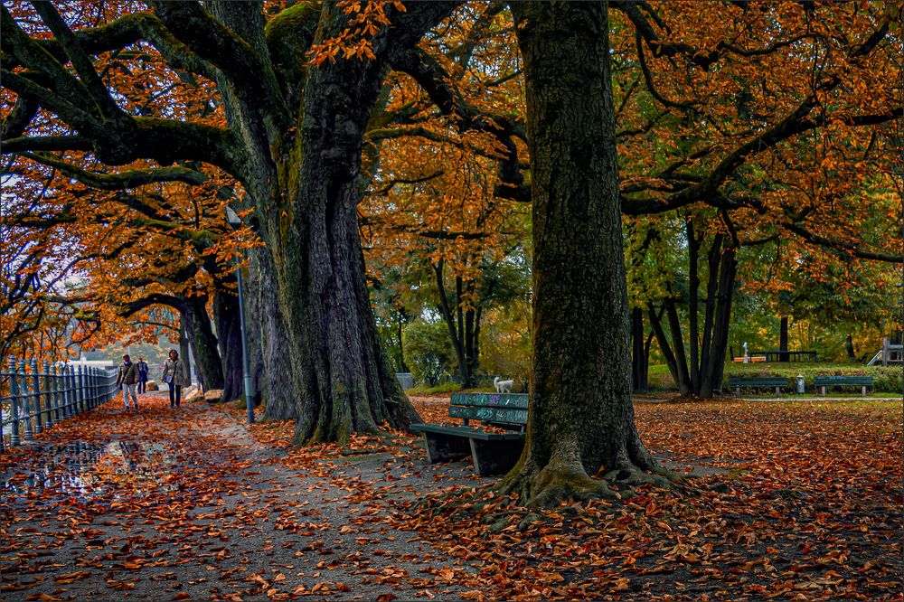 Photograph by Юрий Михайлович Головкин