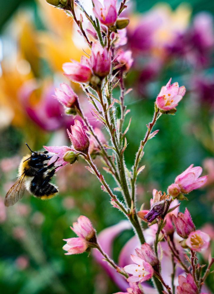 Photograph by Georgy Ivanov