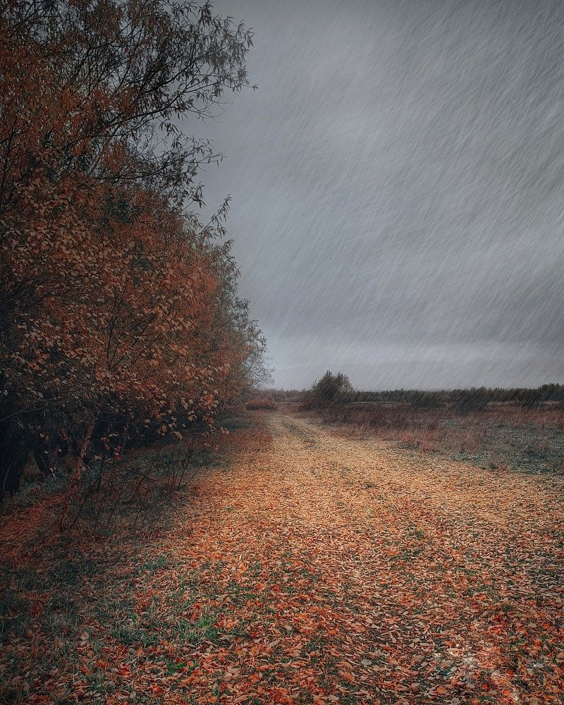 Photograph by Владимир Дождик