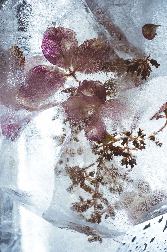 Photograph by Ann Gonchar