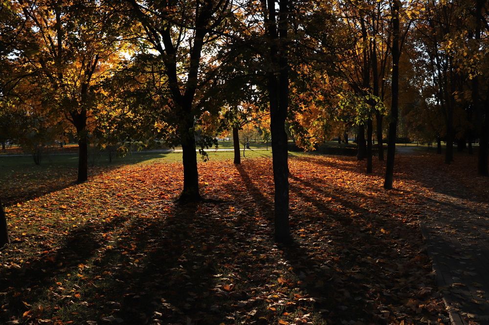 Photograph by Алексейчик Дмитрий