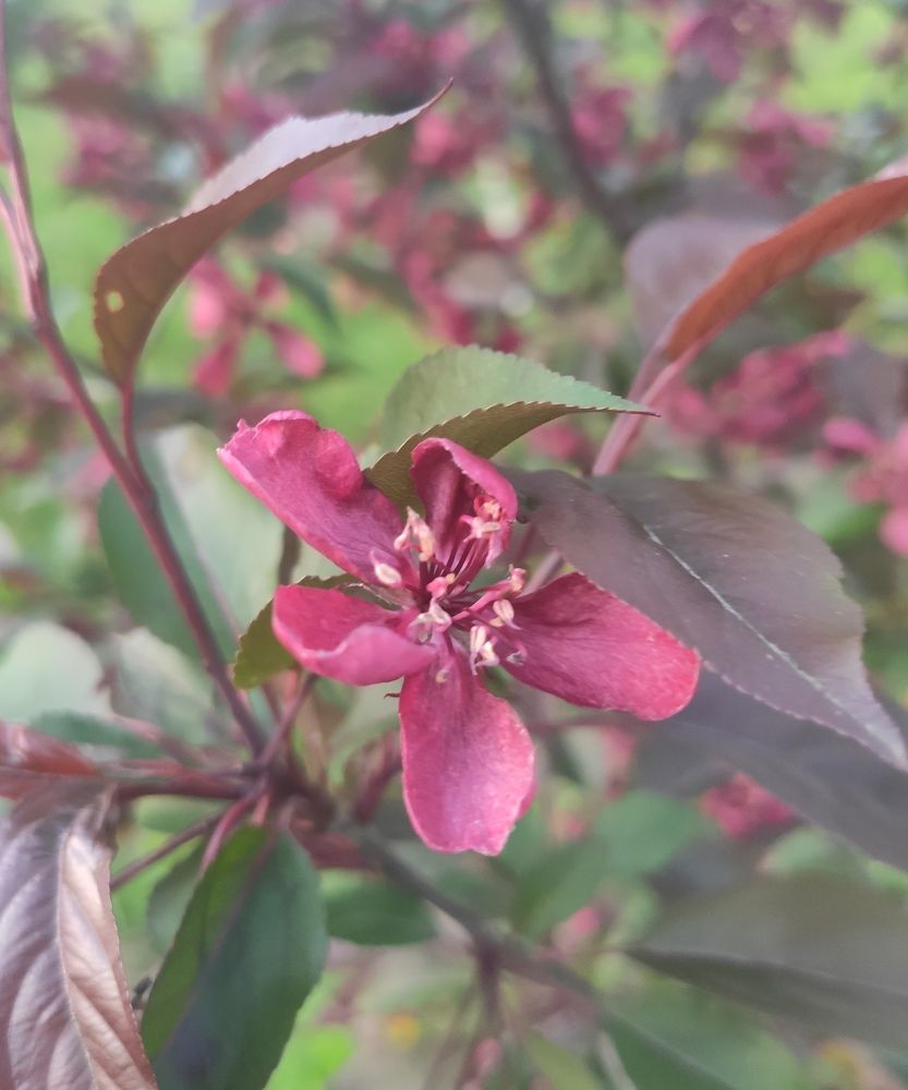 Photograph by Юлия Гетманская