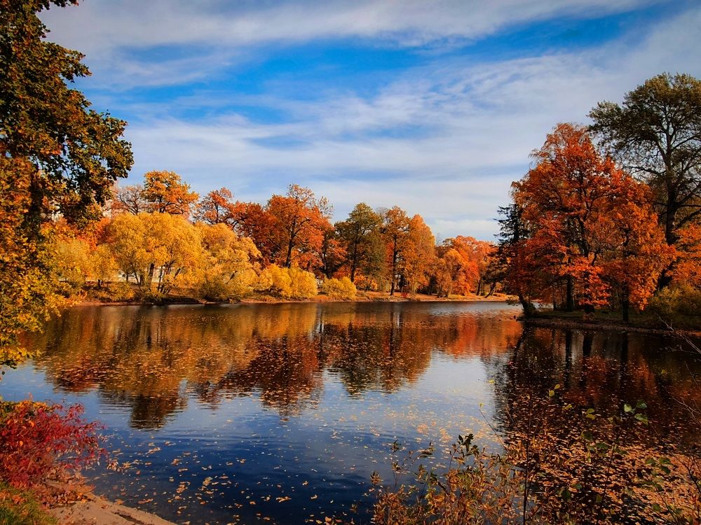 Осень в парке.
