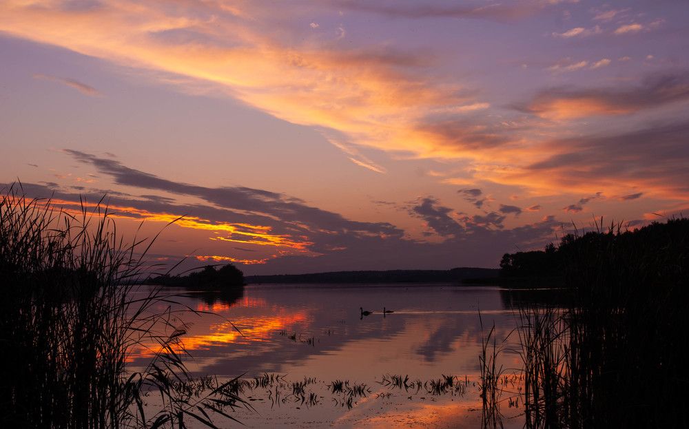 Photograph by Диана Бородзе