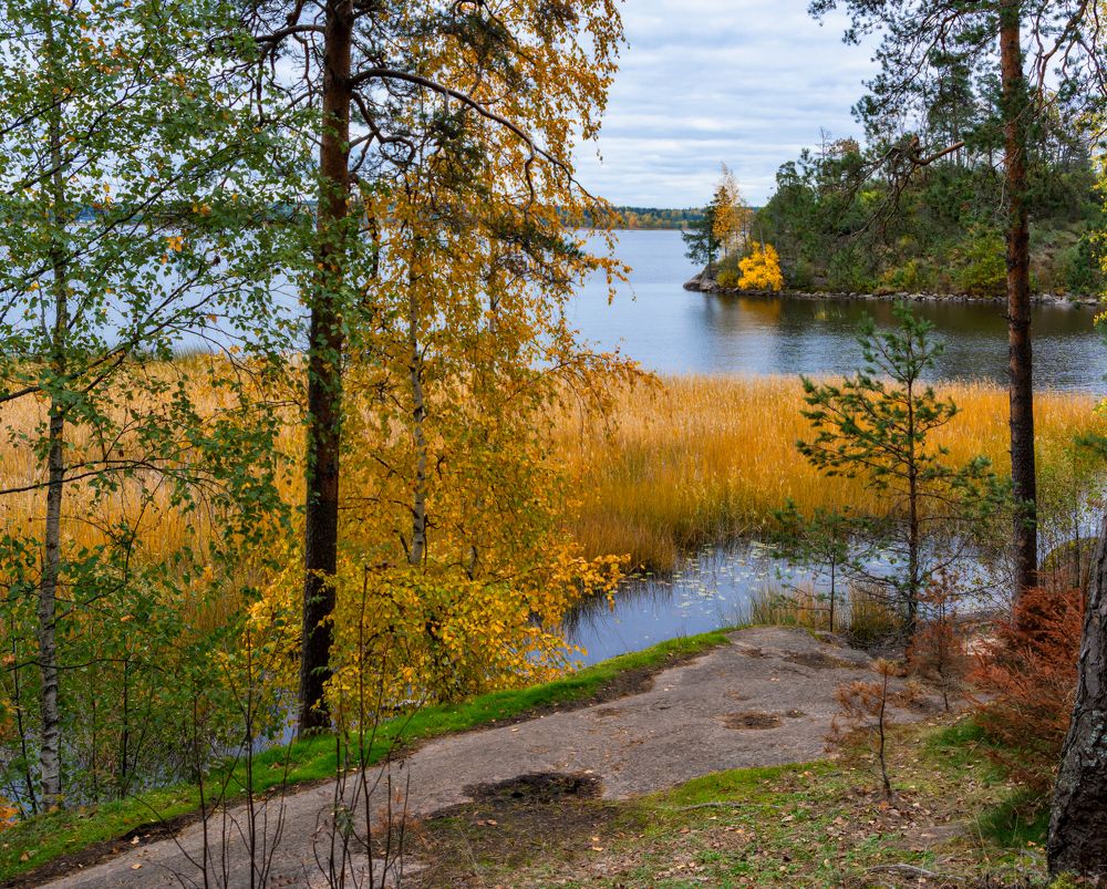 Photograph by Светлана Ващенко