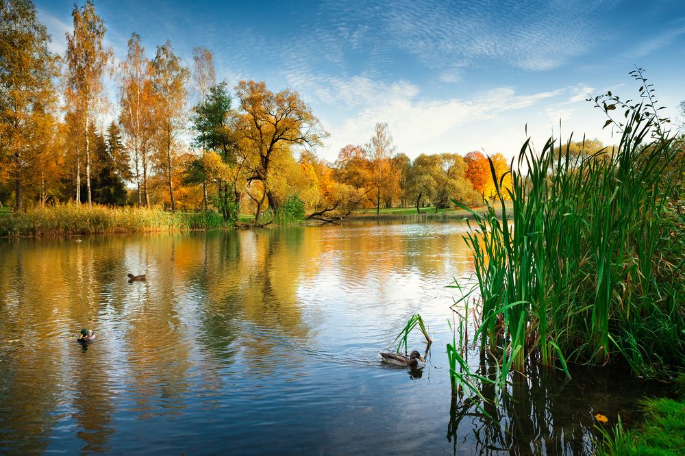 Photograph by Дмитрий