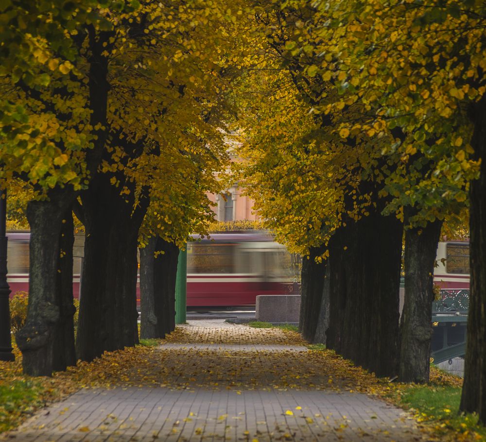 Photograph by Армашов-Тельник Григорий