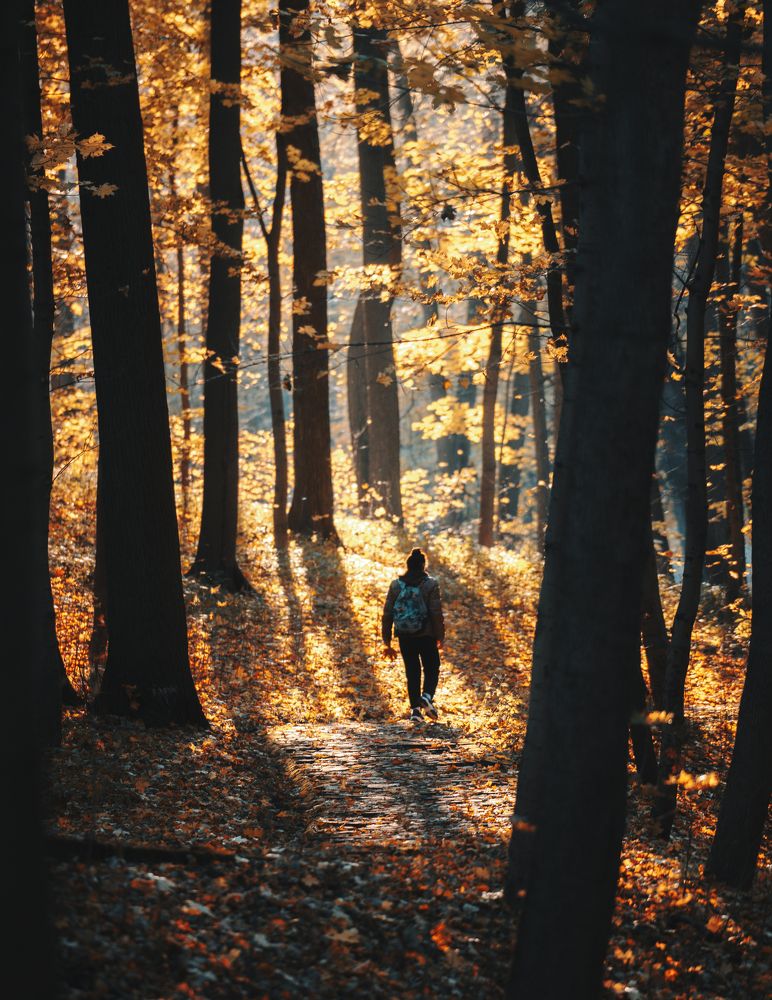 Фотография автора Иван Черников