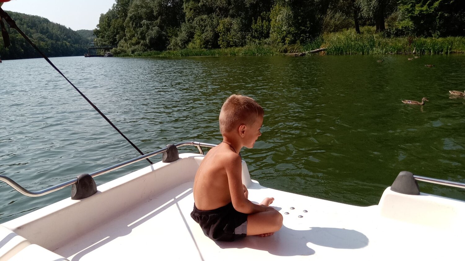 Photo #6561976