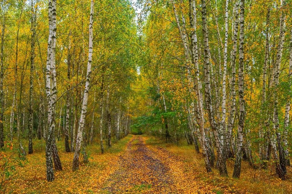 Photograph by Андрей Косенко