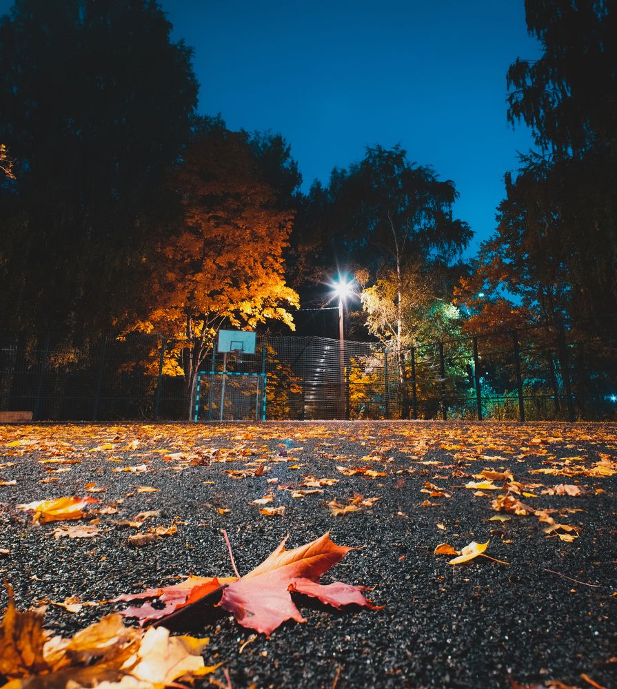 Photograph by Михаил Кудрин