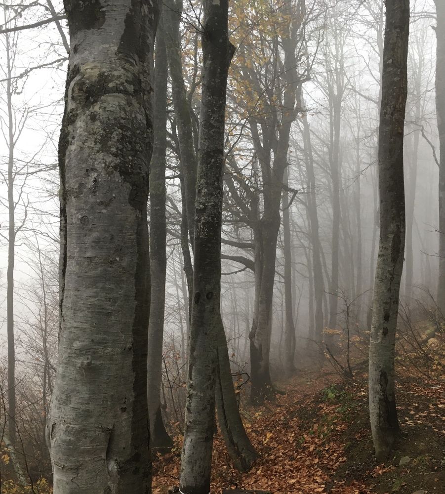 Фотография автора Назарова Ксения