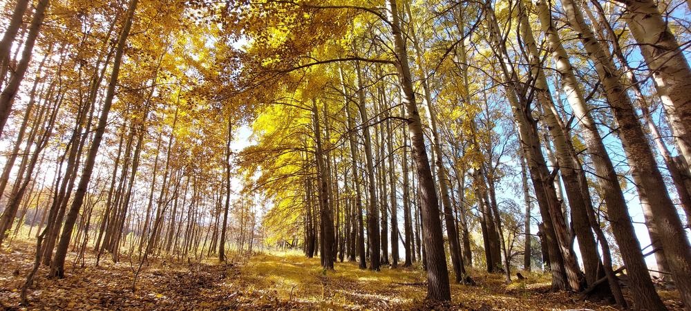 Photograph by Екатерина Бочкарева