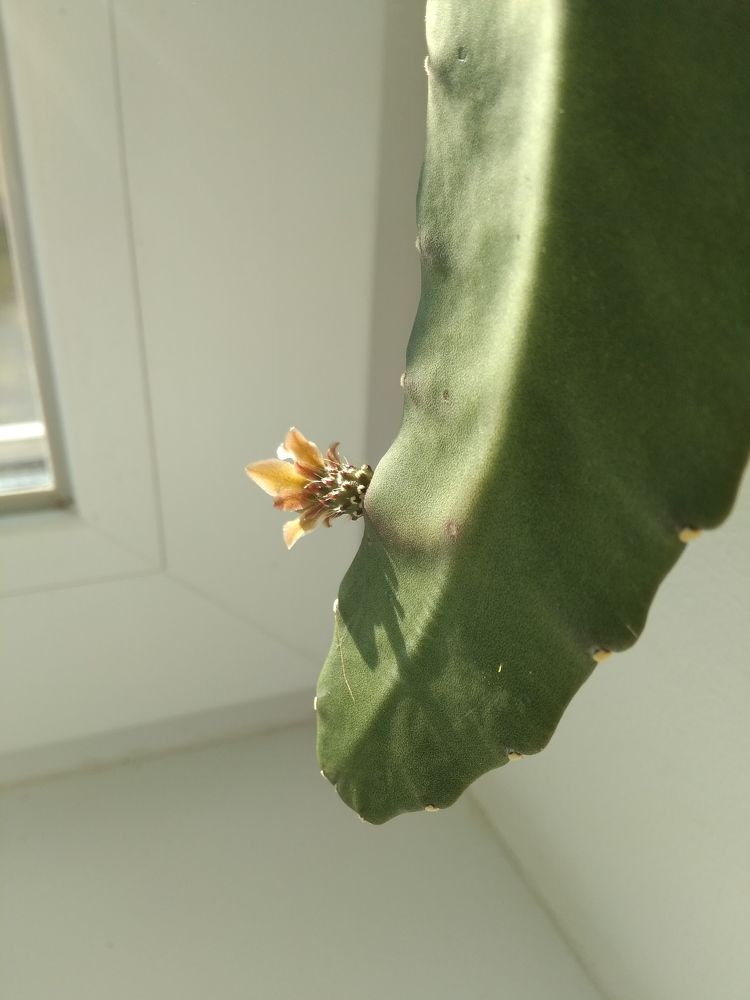 Фотография автора Наталья Кулешова