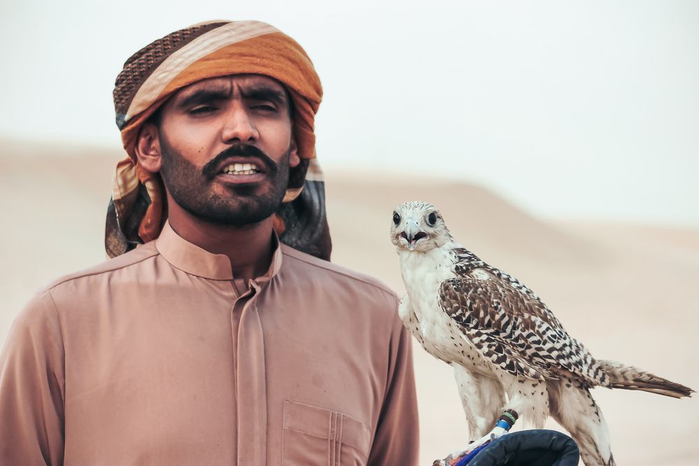 The Hawk Man