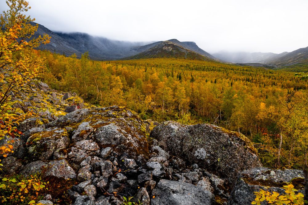 Photograph by Артем Ильин