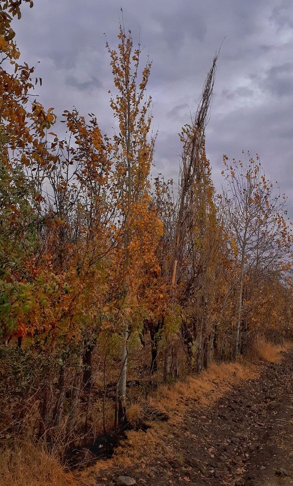 Photograph by Khosro Sayadi