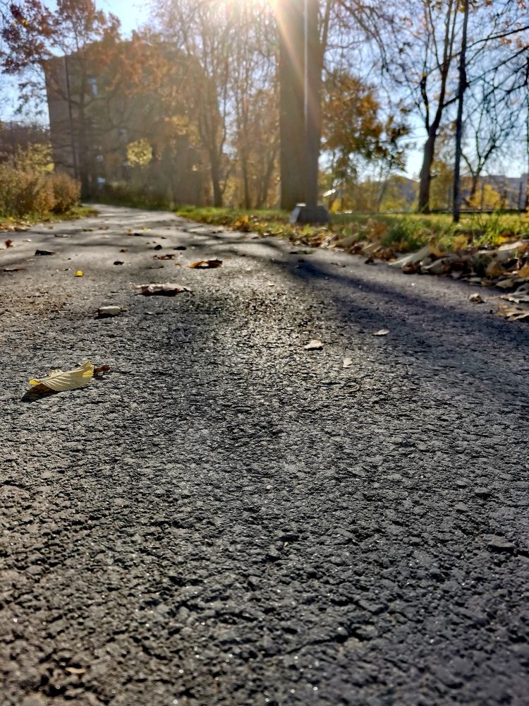 Photograph by Ekaterina Stepanchyk