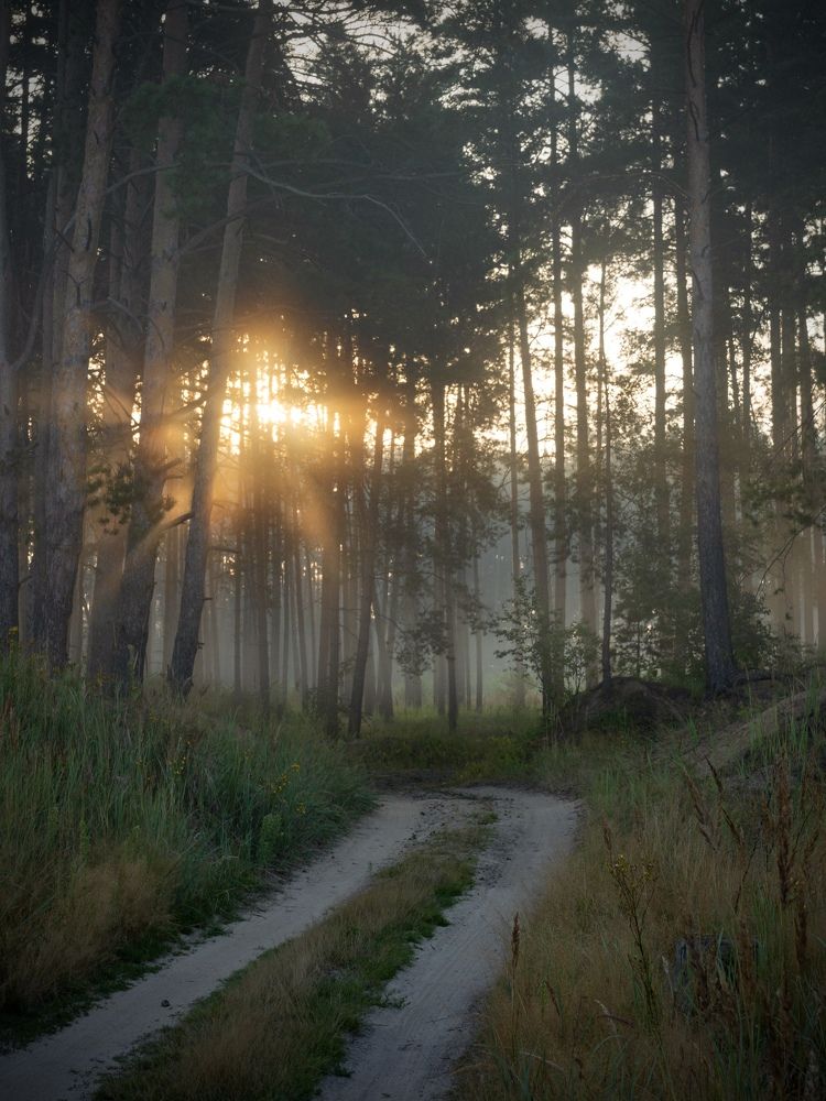 Photograph by Anna Levina