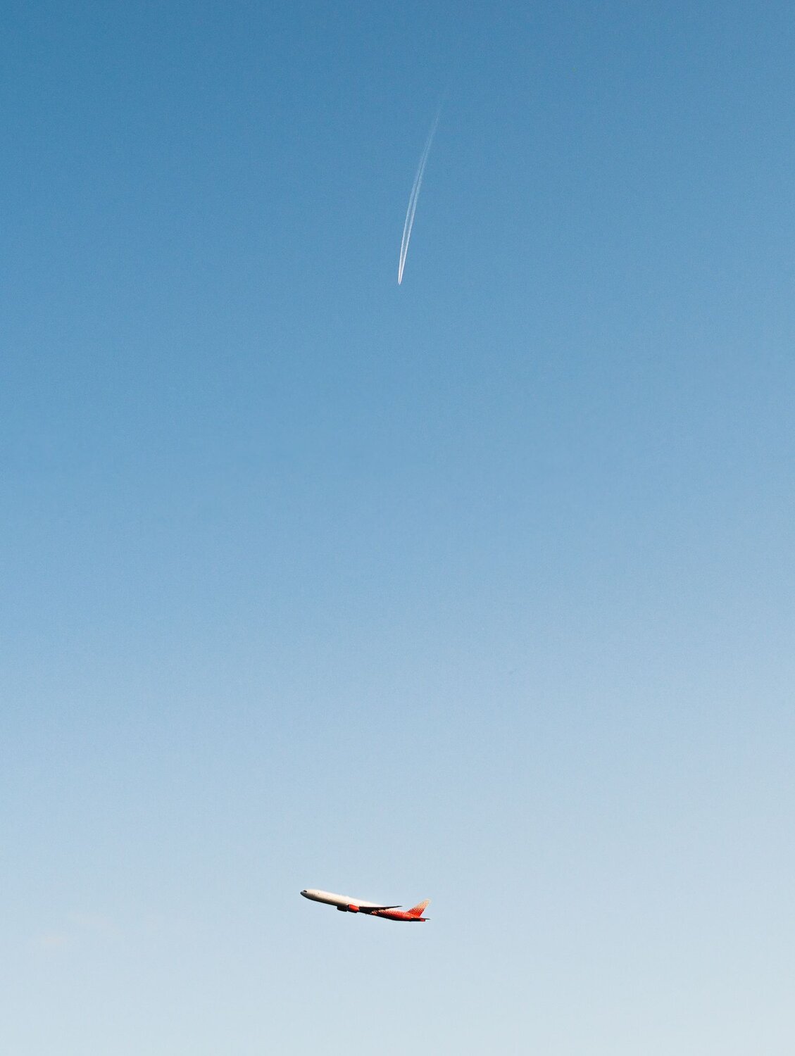 Photo #6562160