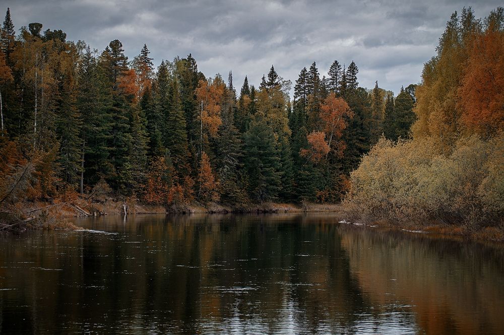 Фотография автора Виктория Шаманова