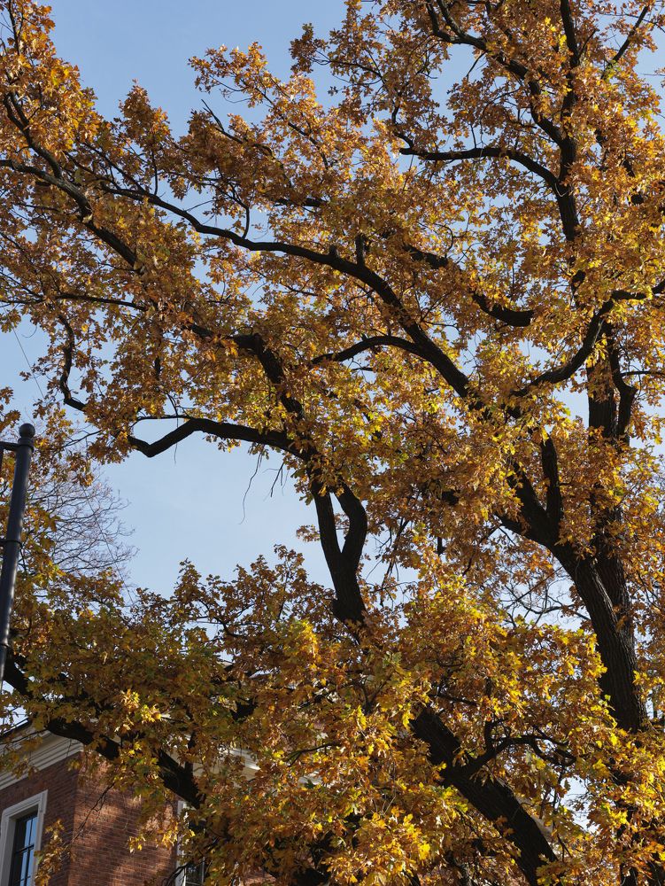 Photograph by Nadezhda Stoliarova