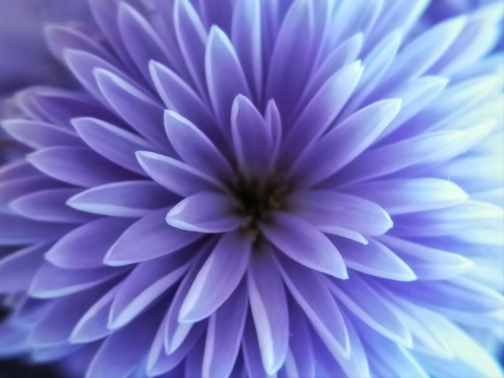 Photograph by Sumiran Waghmare