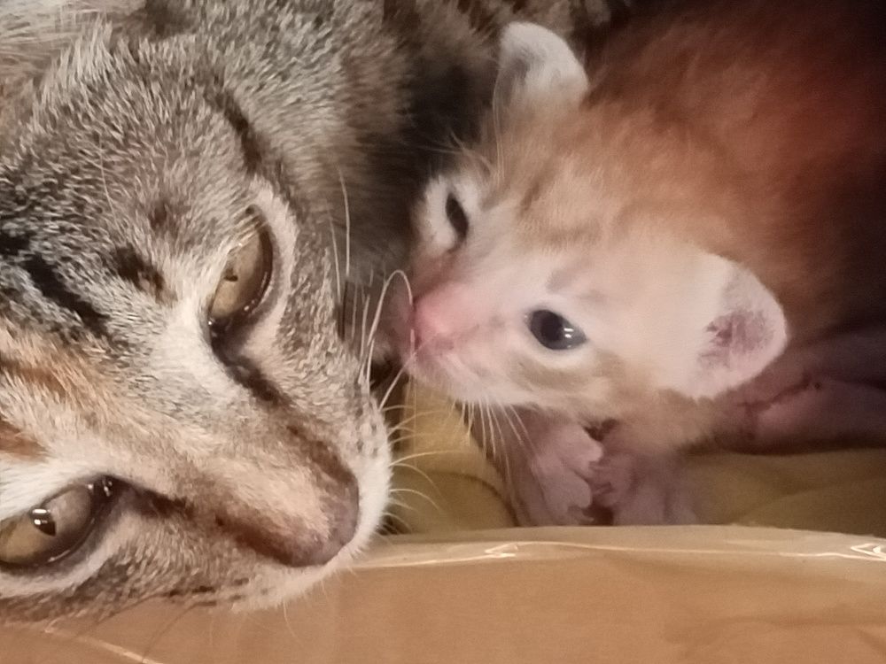 Photo #6562244