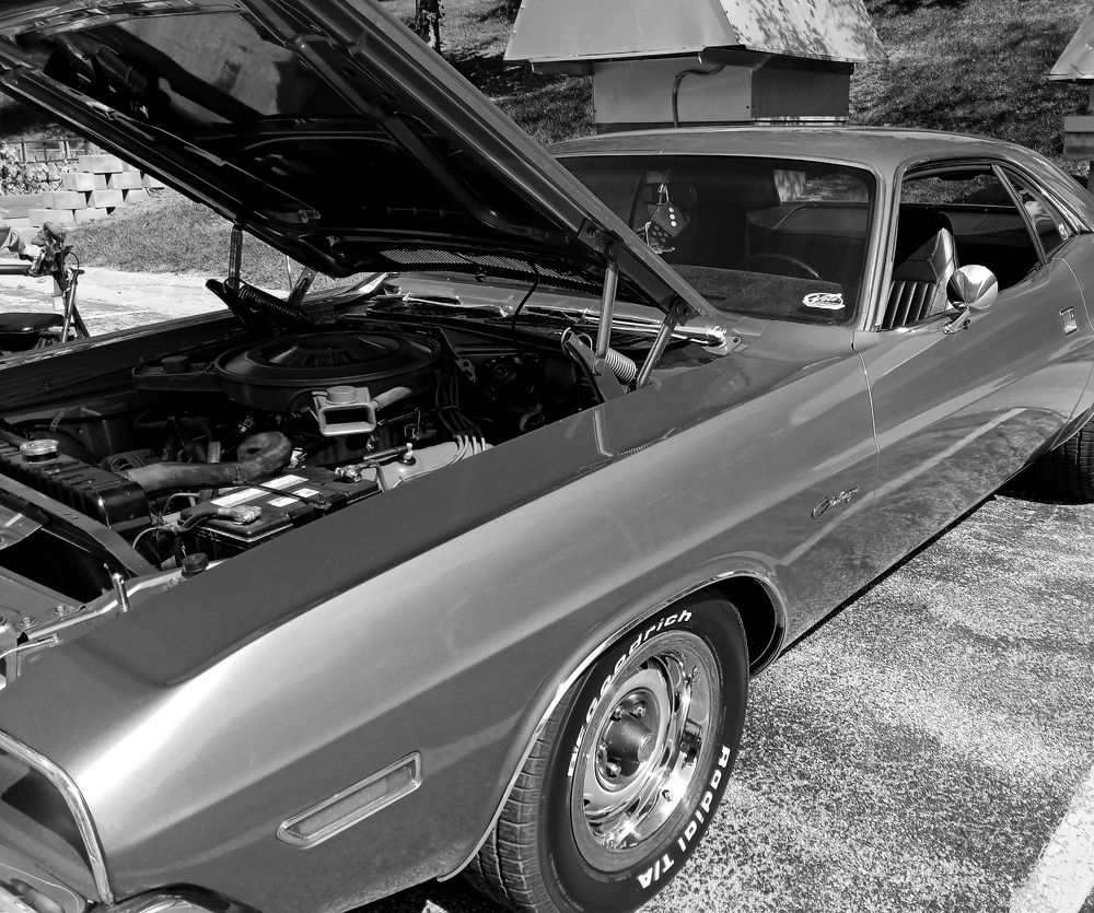 Photograph by Зинаида Кокарева