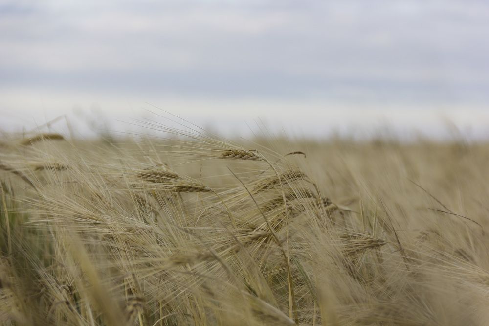 Photograph by Anna Gapanovich