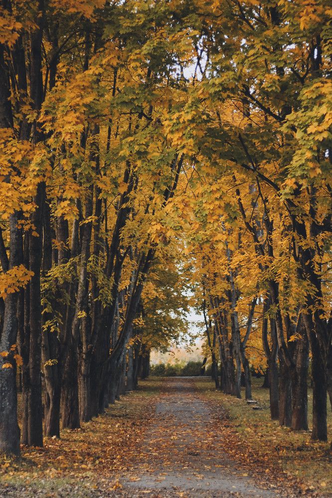 Photograph by Евгений Белов