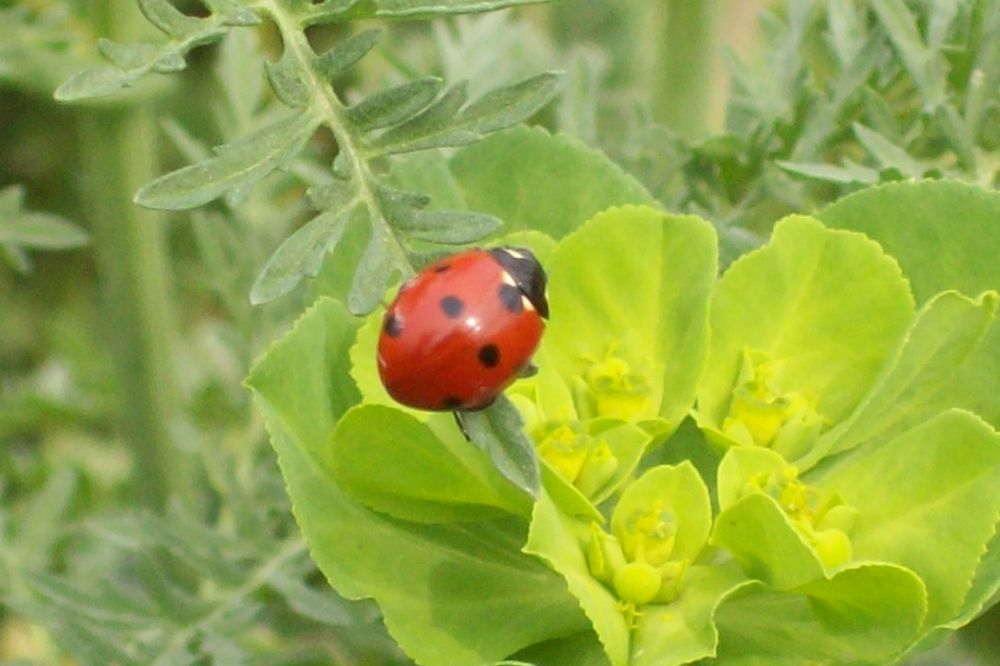 Photograph by Ахрор Холиков