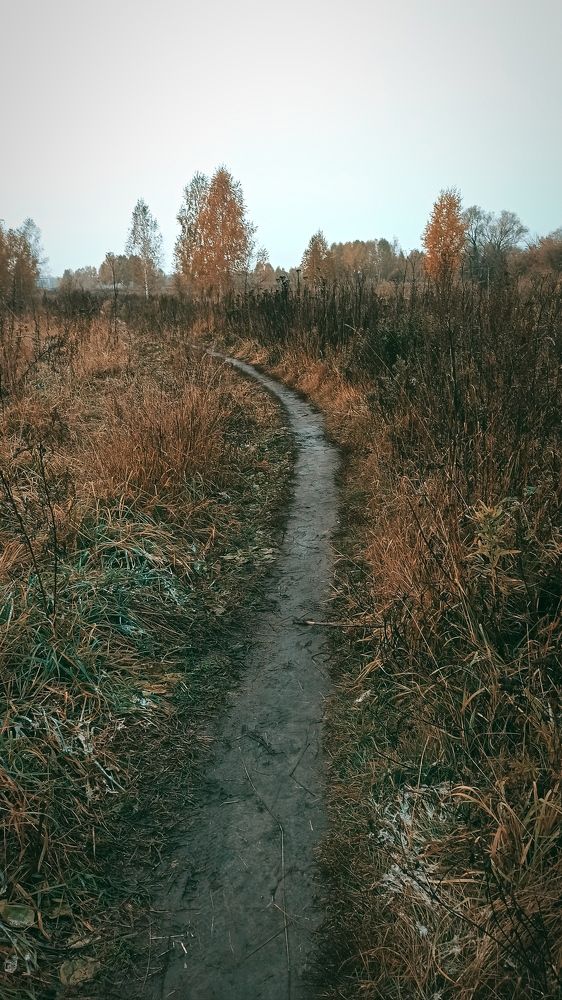 Photograph by Надежда Тарасенко