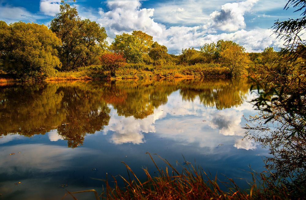 Photograph by Елена Воронова