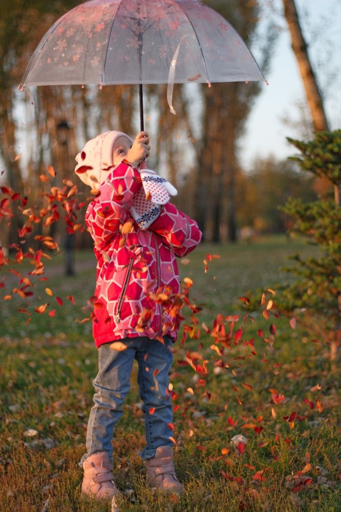 Фотография автора Татьяна Степанова