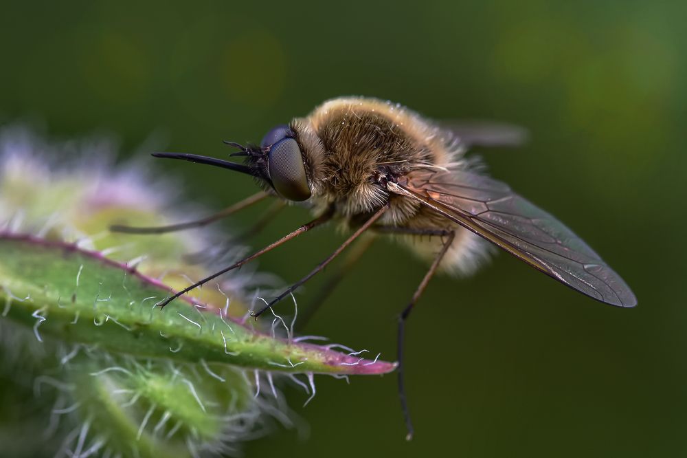Photograph by Андрей Зимин