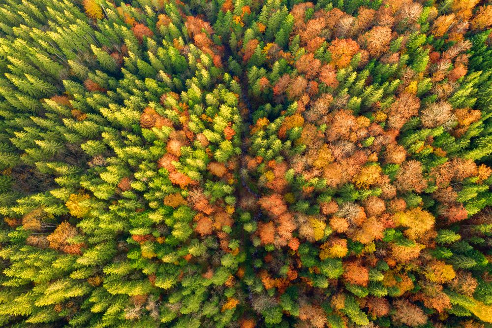 Photograph by Вячеслав Тиханский