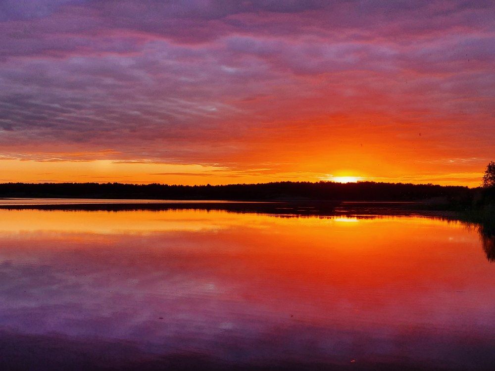 Photograph by Светлана Гущина