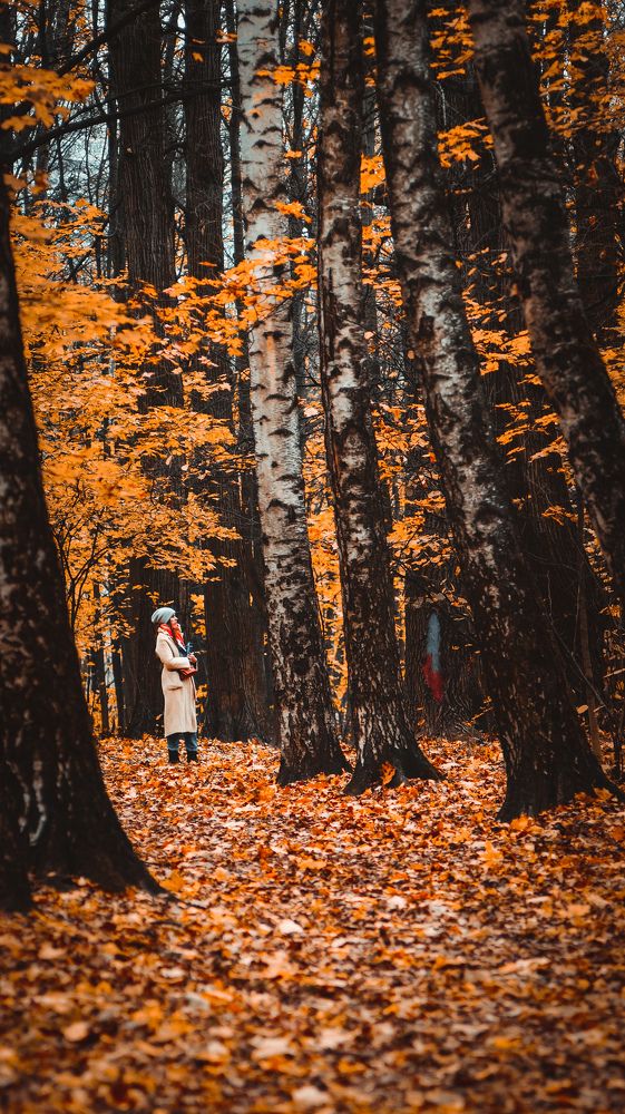 Photograph by Любовь