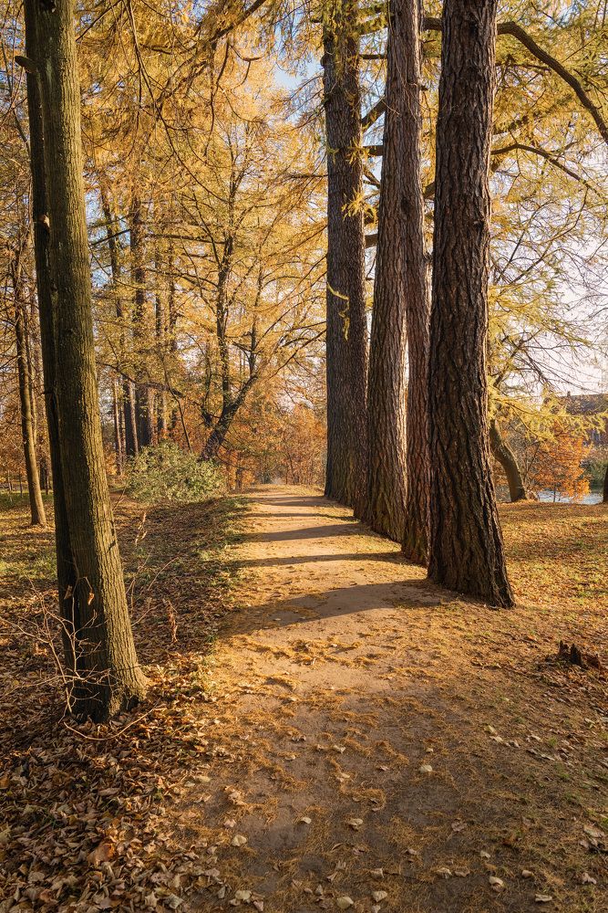 Photograph by sergei